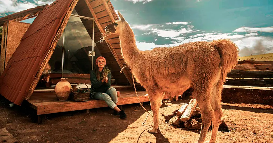 Hotel em Cusco, vista para a montanha alimentando uma lhama