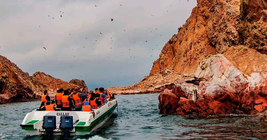 passeio de barco às Ilhas Ballestas