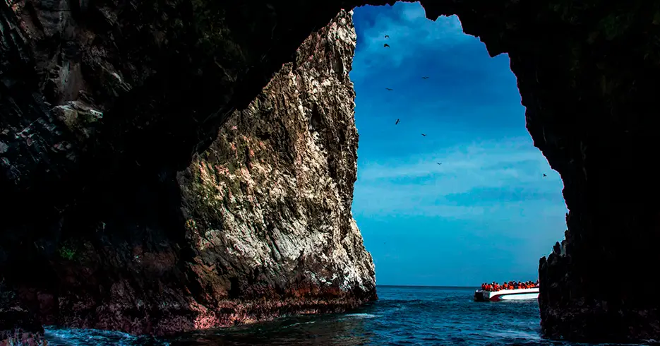 Ilhas Ballestas Peru