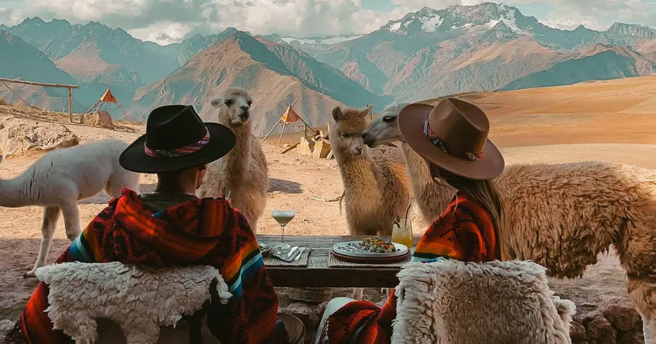 Vista das lhamas e da Cordilheira dos Andes em Mountain View, hotéis em Cusco