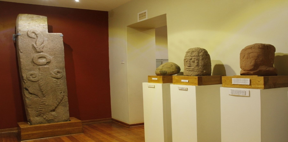 museu-carlos-dreyer
