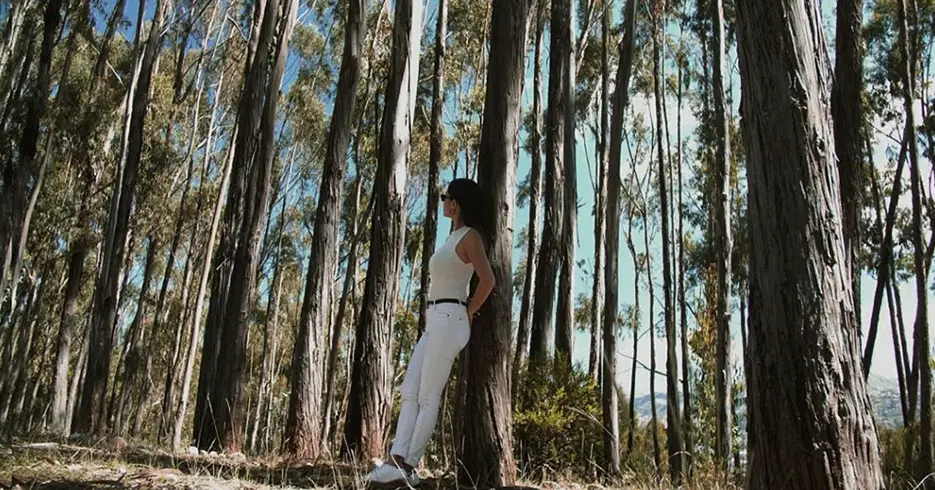 Mulher na floresta Queno em Cusco, com muitos eucaliptos na paisagem