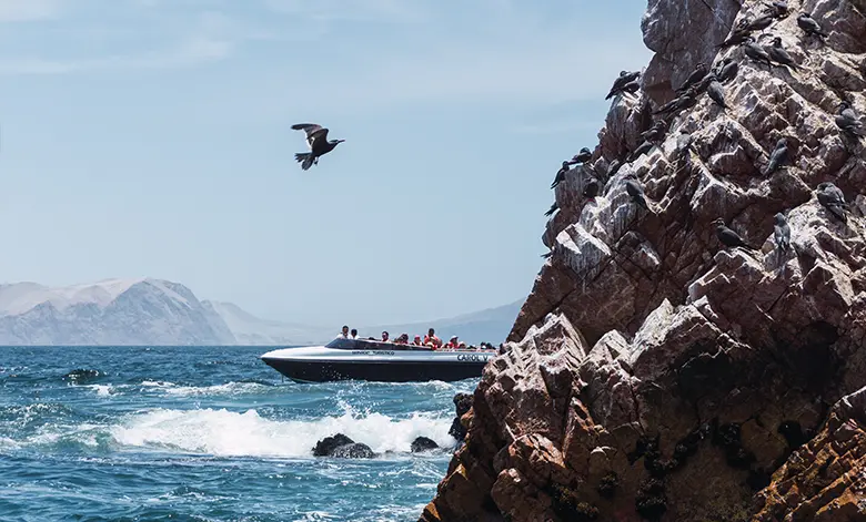 Reserva Nacional de Paracas