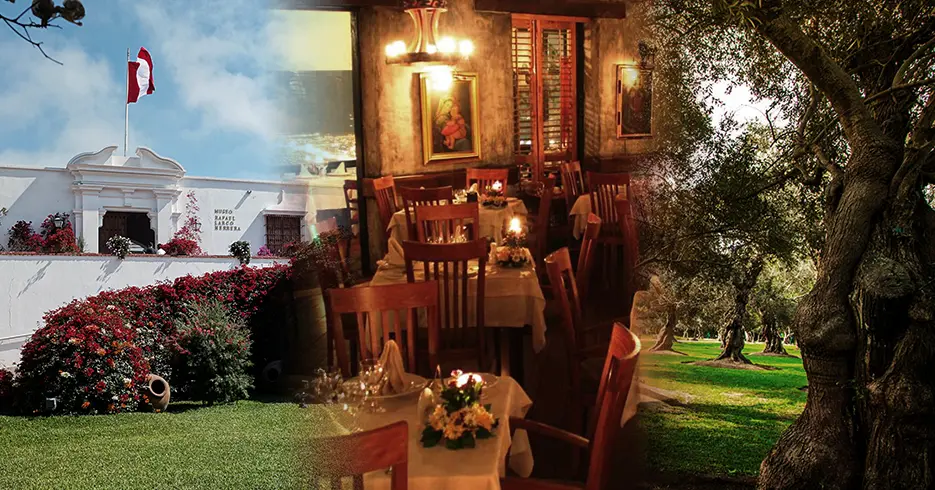 O que fazer em Lima e arredores no bairro de San Isidro, museu Larco, restaurantes e o olival de Miraflores