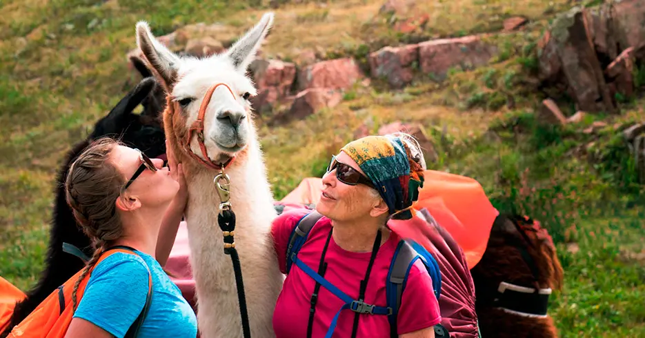 Turistas com os animais do Peru