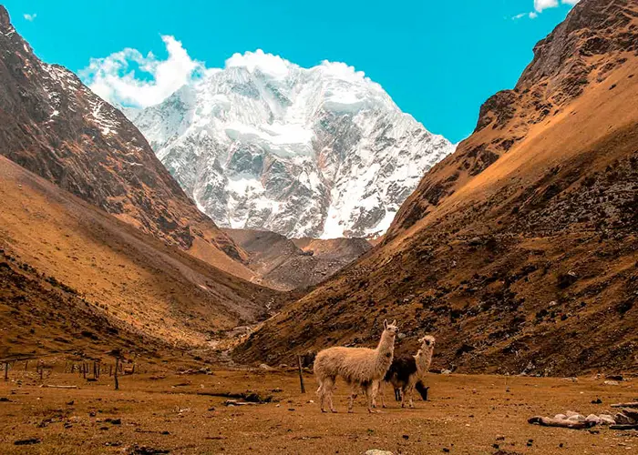 Salkantay Hiking 5d