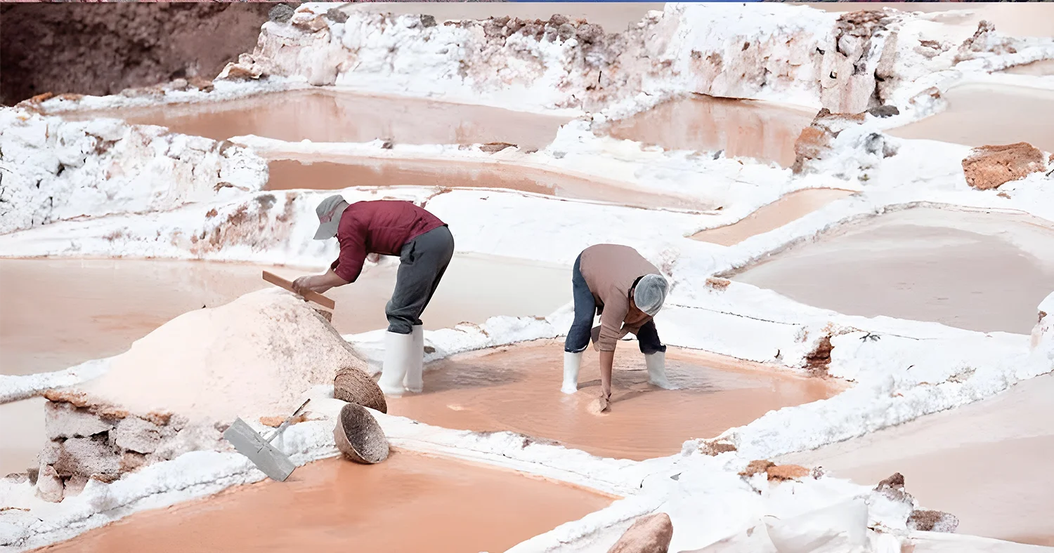 Two local workers harvesting salt by hand in the traditional salt ponds of Maras, Cusco