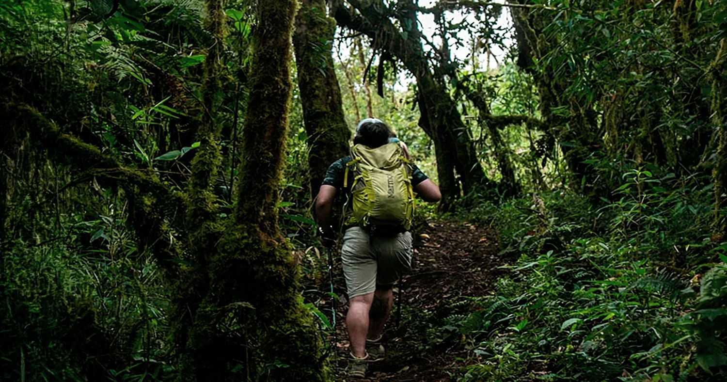 Hiker walking through the cloud forest on the Salkantay Trek in Peru