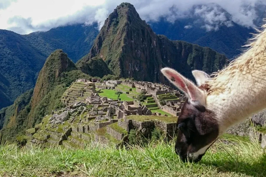 Moderate difficulty at Machu Picchu