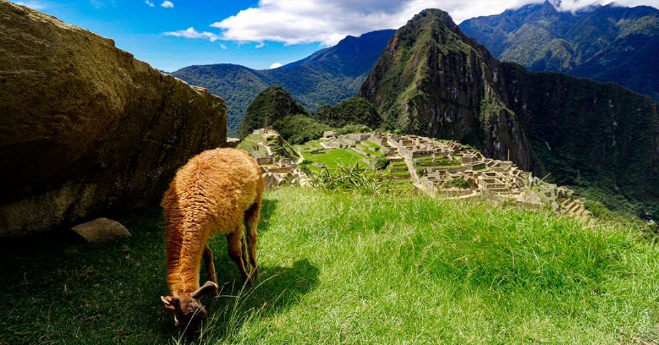 Plan your adventure with Peru Grand Travel to discover the lost citadel of Machu Picchu