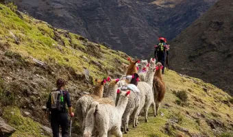 Lares Valley Trek to Machu Picchu 4 days