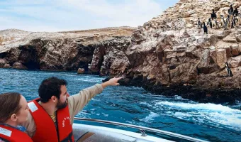 ballestas island tour from paracas