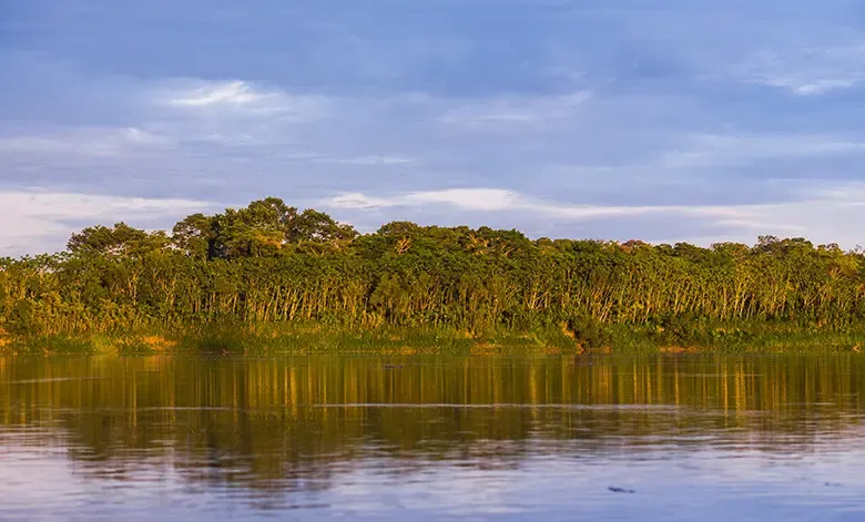 Peruvian Amazon